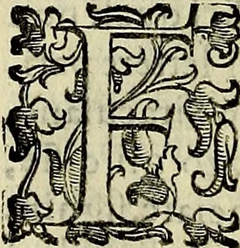 An illustration from Teatro d'imprese, 1623, leaf 979