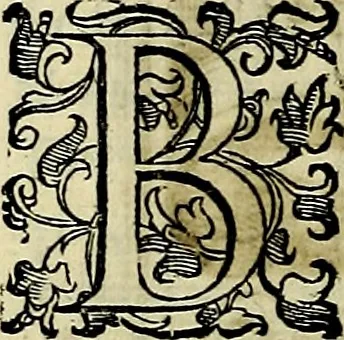 An illustration from Teatro d'imprese, 1623, leaf 989