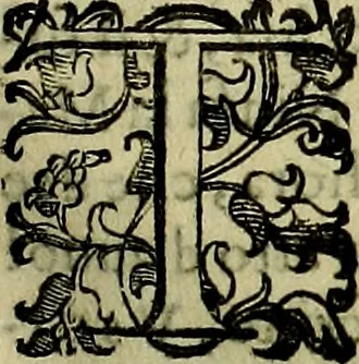 An illustration from Teatro d'imprese, 1623, leaf 990
