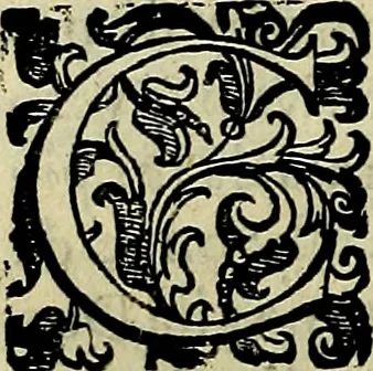 An illustration from Teatro d'imprese, 1623, leaf 991