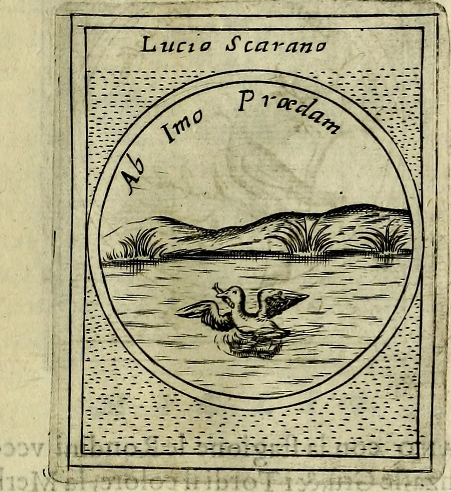 An illustration from Teatro d'imprese, 1623, leaf 994