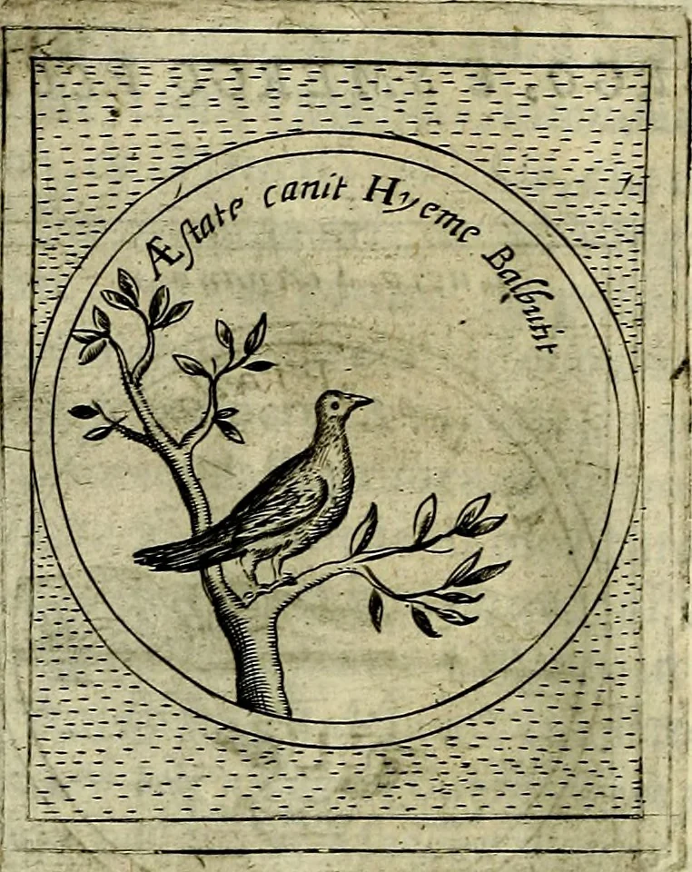 An illustration from Teatro d'imprese, 1623, leaf 995