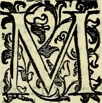An illustration from Teatro d'imprese, 1623, leaf 995