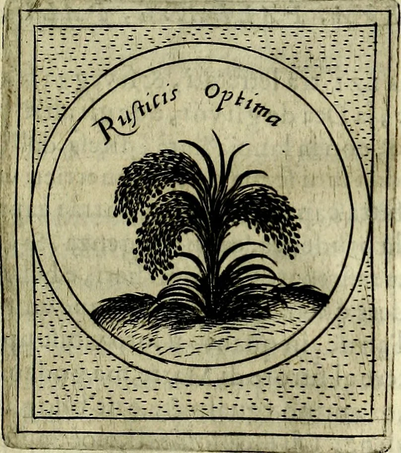 An illustration from Teatro d'imprese, 1623, leaf 996