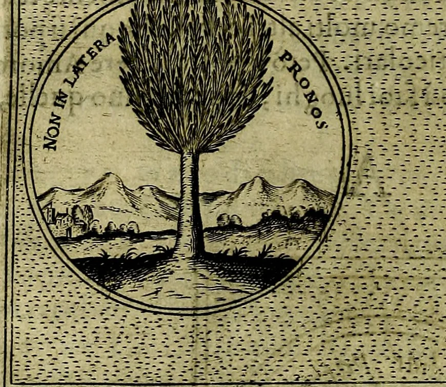 An illustration from Teatro d'imprese, 1623, leaf 197