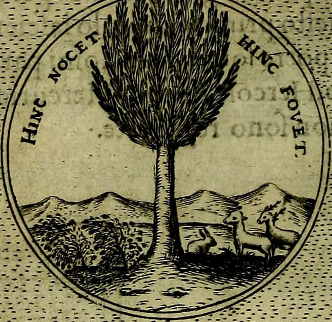 An illustration from Teatro d'imprese, 1623, leaf 197