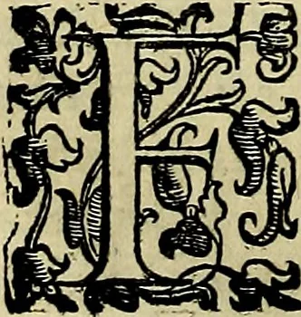 An illustration from Teatro d'imprese, 1623, leaf 197