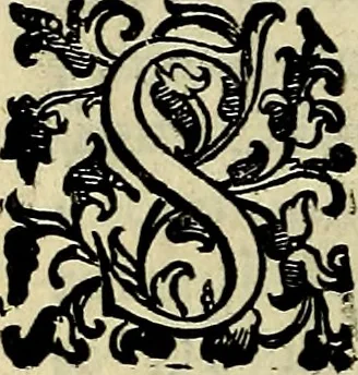 An illustration from Teatro d'imprese, 1623, leaf 201
