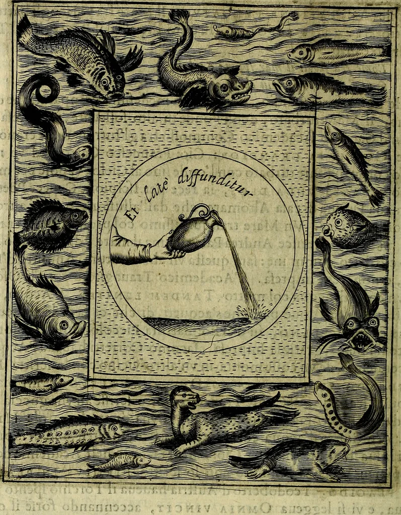 An illustration from Teatro d'imprese, 1623, leaf 207