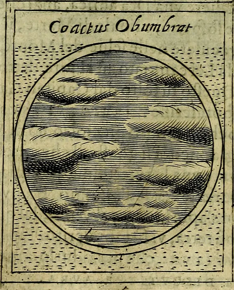An illustration from Teatro d'imprese, 1623, leaf 209