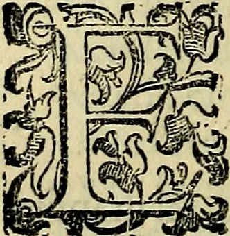 An illustration from Teatro d'imprese, 1623, leaf 213