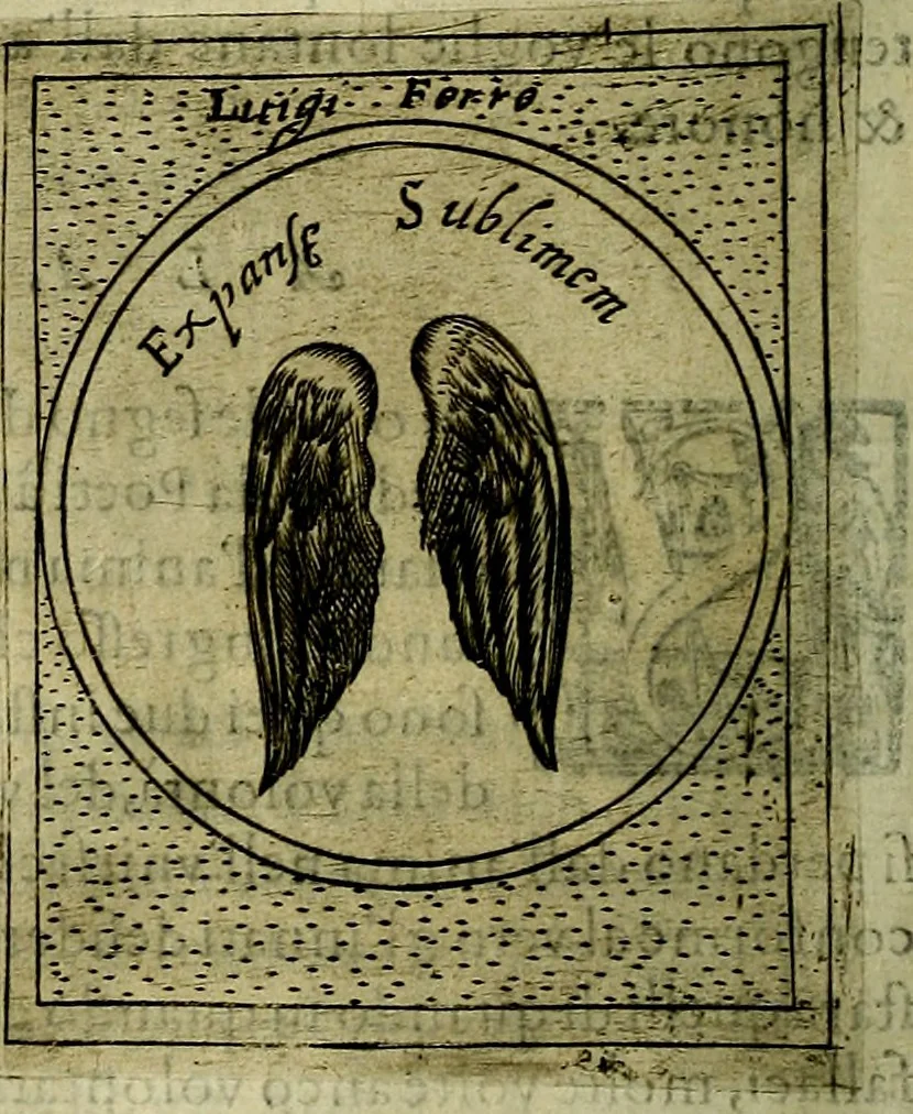 An illustration from Teatro d'imprese, 1623, leaf 215