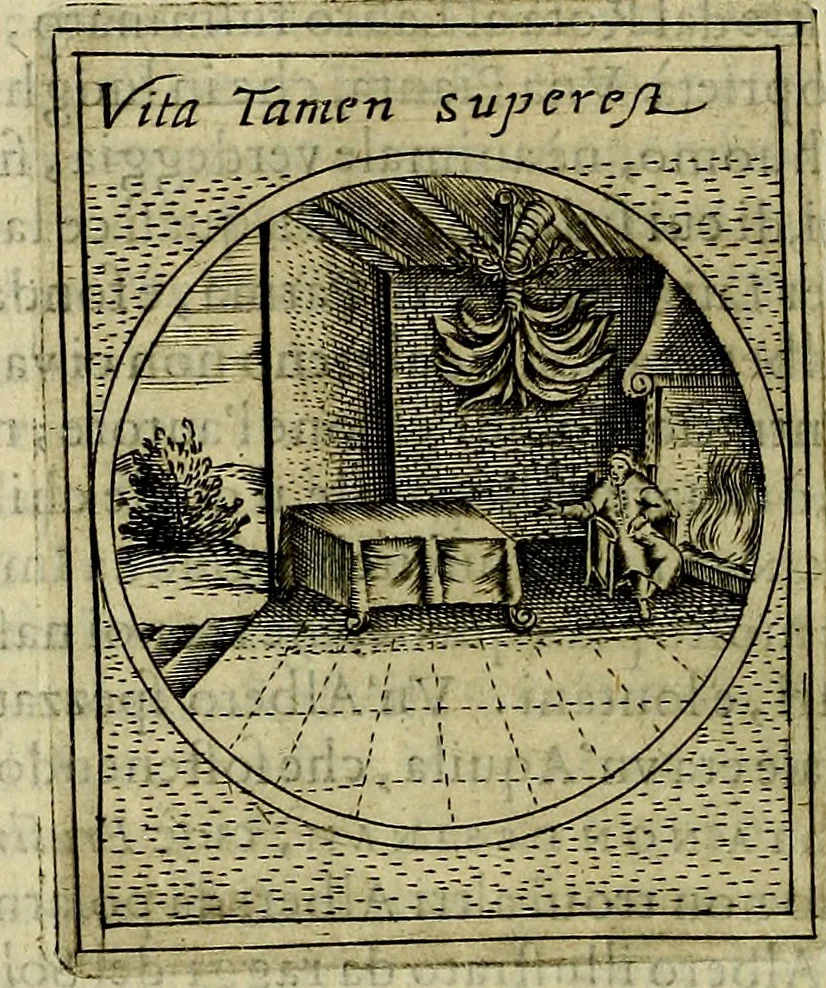 An illustration from Teatro d'imprese, 1623, leaf 221