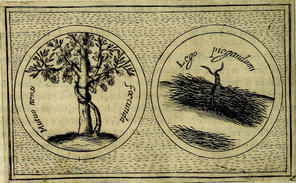 An illustration from Teatro d'imprese, 1623, leaf 225