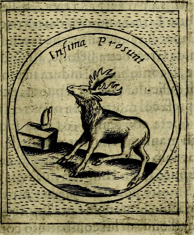 An illustration from Teatro d'imprese, 1623, leaf 228