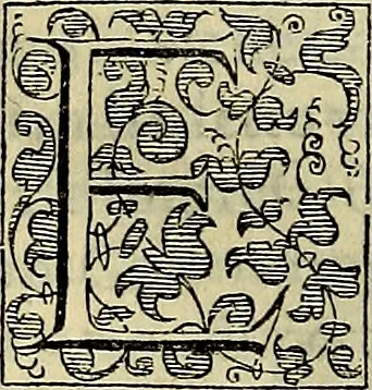 An illustration from Teatro d'imprese, 1623, leaf 229