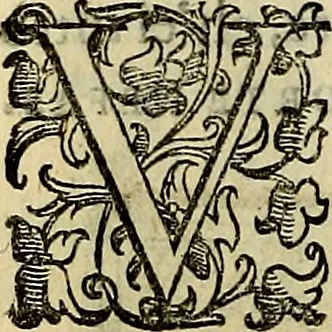 An illustration from Teatro d'imprese, 1623, leaf 233