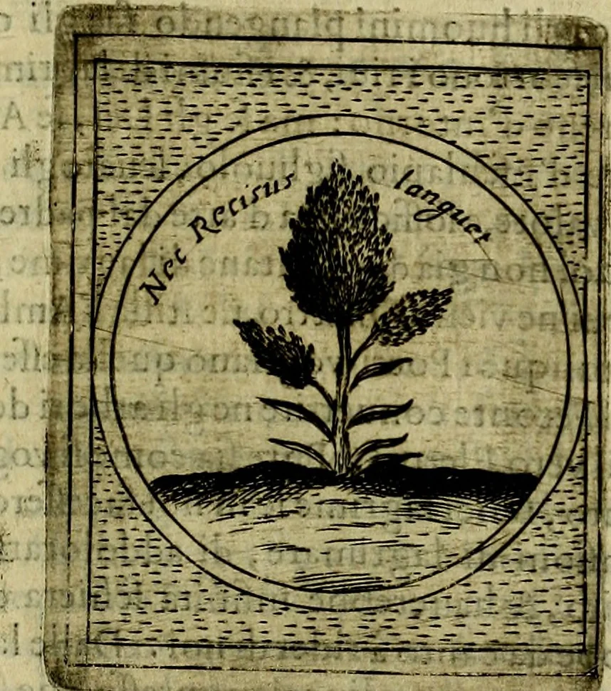 An illustration from Teatro d'imprese, 1623, leaf 240