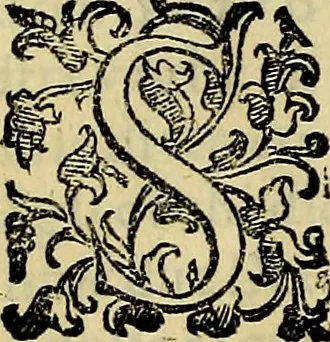 An illustration from Teatro d'imprese, 1623, leaf 245