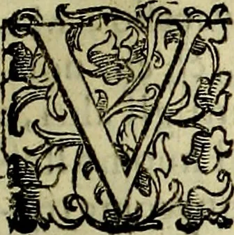 An illustration from Teatro d'imprese, 1623, leaf 248