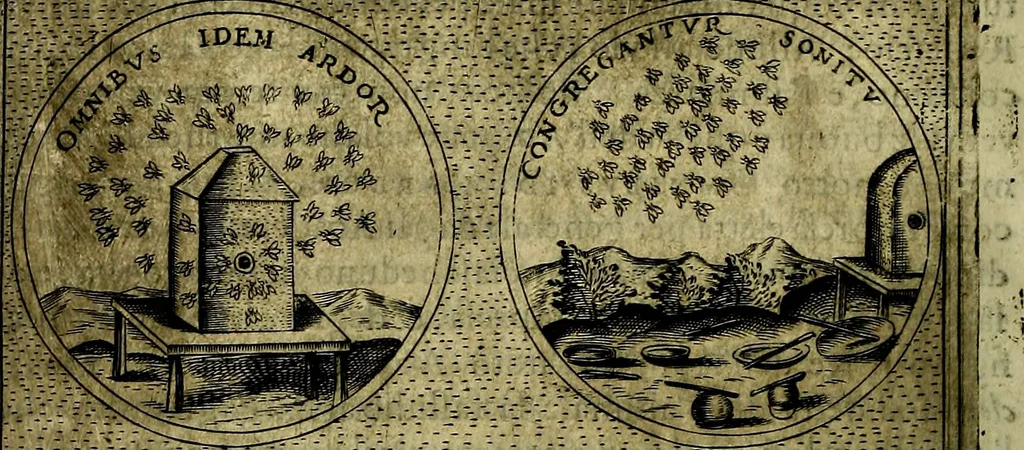 An illustration from Teatro d'imprese, 1623, leaf 251