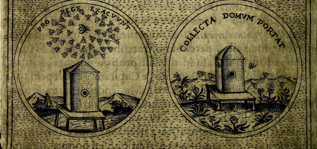 An illustration from Teatro d'imprese, 1623, leaf 251