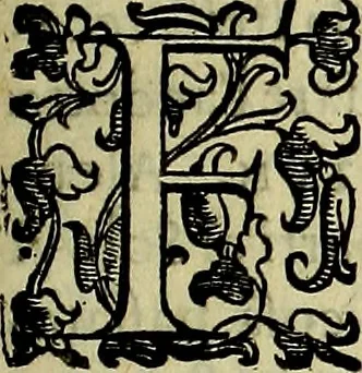 An illustration from Teatro d'imprese, 1623, leaf 262