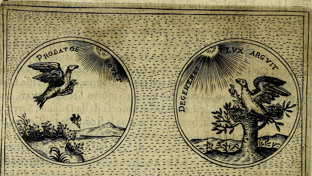 An illustration from Teatro d'imprese, 1623, leaf 265