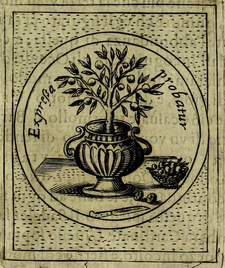 An illustration from Teatro d'imprese, 1623, leaf 278