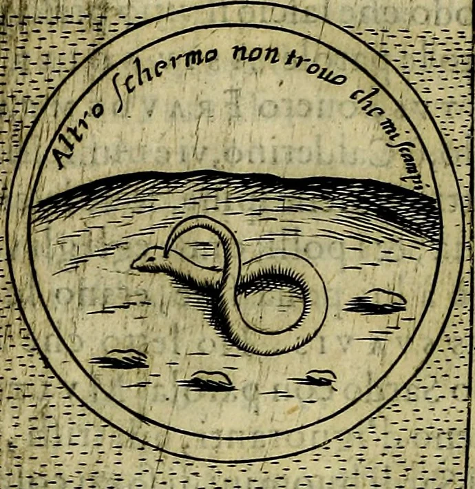 An illustration from Teatro d'imprese, 1623, leaf 291
