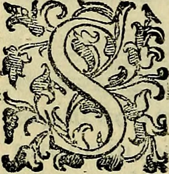An illustration from Teatro d'imprese, 1623, leaf 291