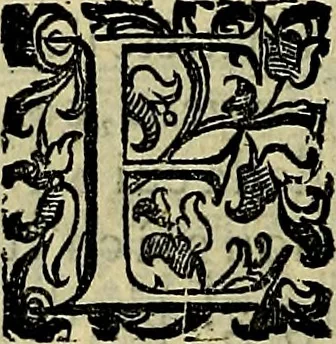 An illustration from Teatro d'imprese, 1623, leaf 295