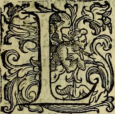 An illustration from Teatro d'imprese, 1623, leaf 298