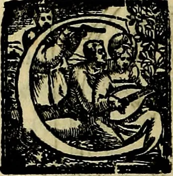 An illustration from Teatro d'imprese, 1623, leaf 301