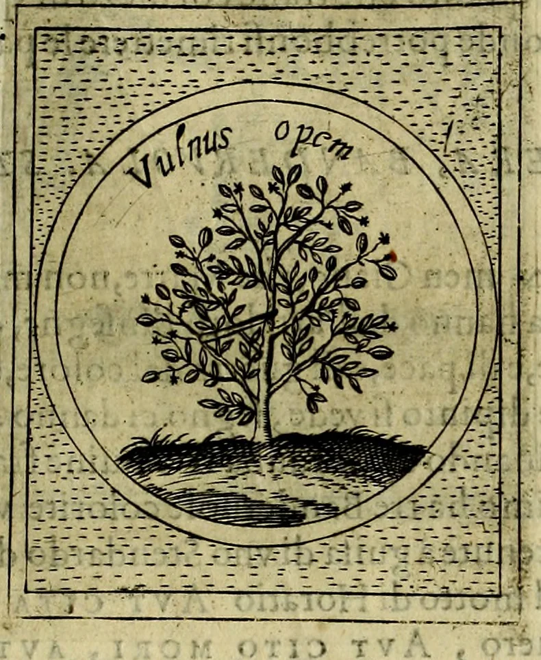 An illustration from Teatro d'imprese, 1623, leaf 302