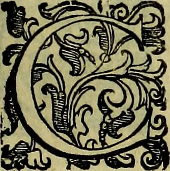 An illustration from Teatro d'imprese, 1623, leaf 306