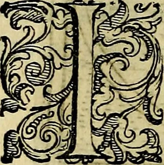 An illustration from Teatro d'imprese, 1623, leaf 307