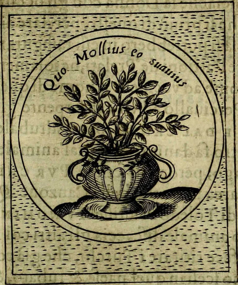 An illustration from Teatro d'imprese, 1623, leaf 308