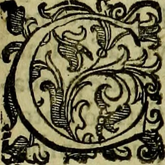 An illustration from Teatro d'imprese, 1623, leaf 308