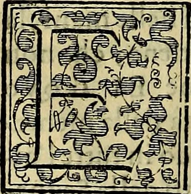 An illustration from Teatro d'imprese, 1623, leaf 313