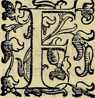 An illustration from Teatro d'imprese, 1623, leaf 315