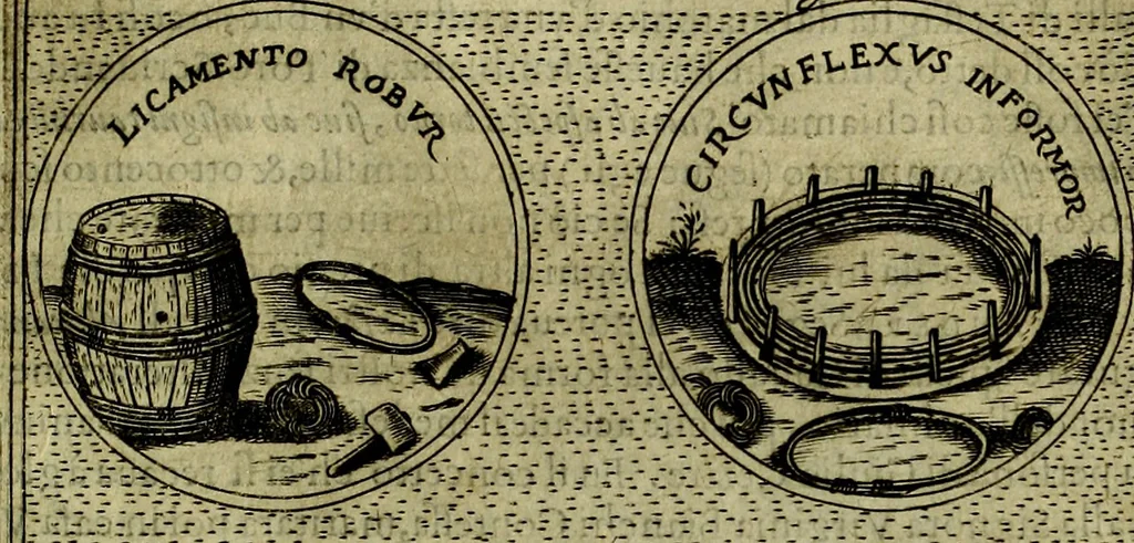 An illustration from Teatro d'imprese, 1623, leaf 324