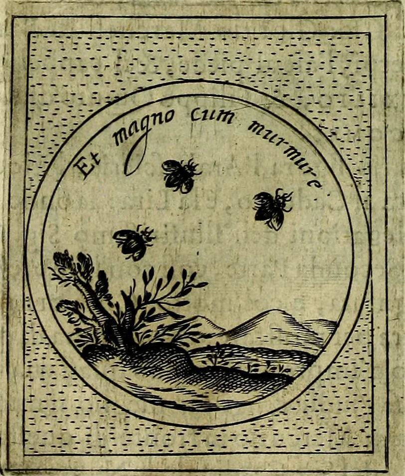 An illustration from Teatro d'imprese, 1623, leaf 331