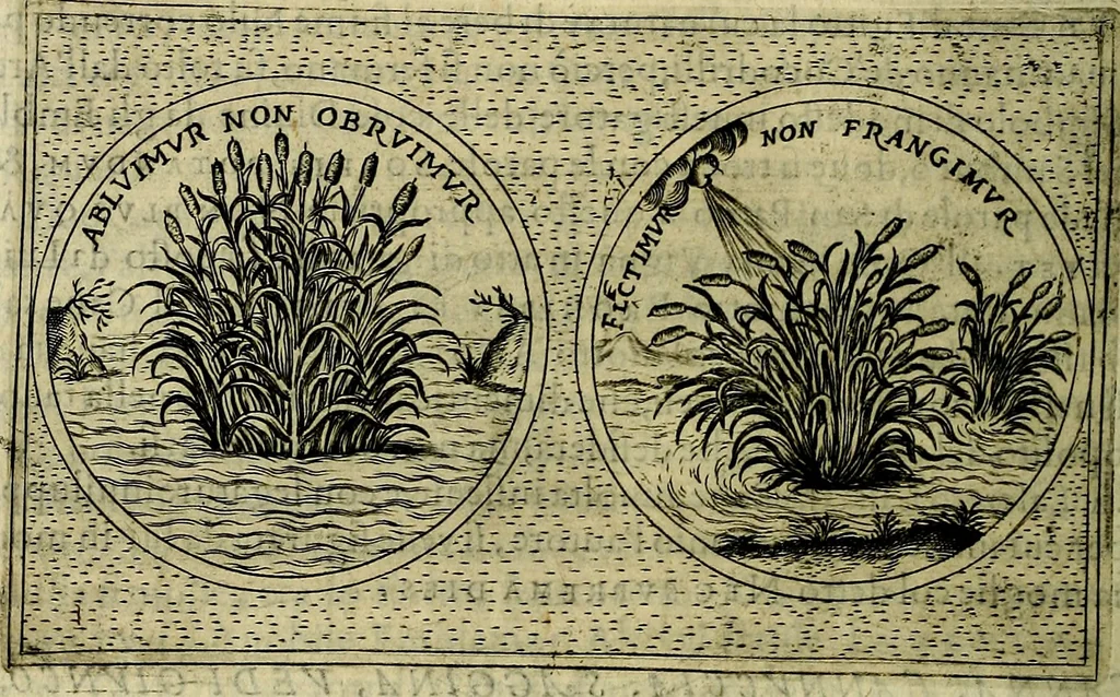 An illustration from Teatro d'imprese, 1623, leaf 353