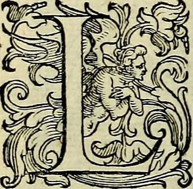An illustration from Teatro d'imprese, 1623, leaf 355