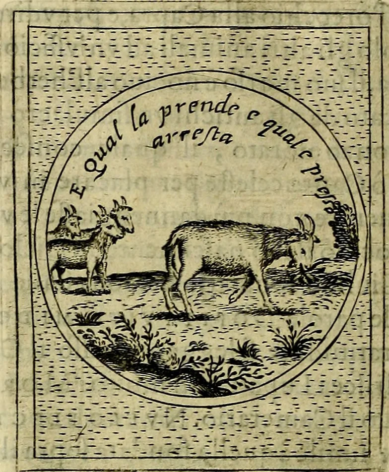 An illustration from Teatro d'imprese, 1623, leaf 359