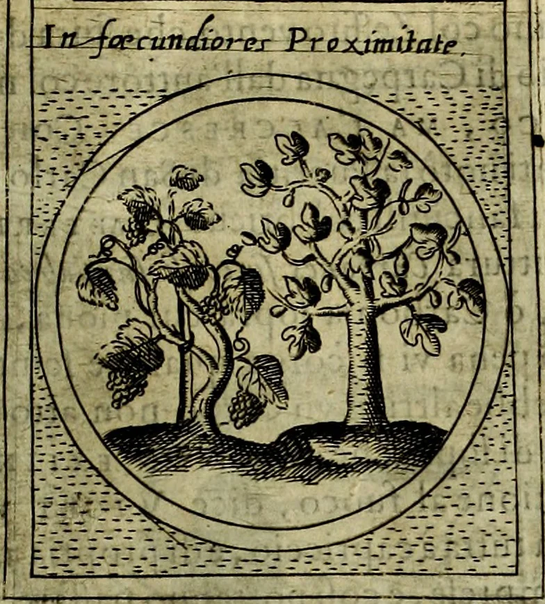 An illustration from Teatro d'imprese, 1623, leaf 362