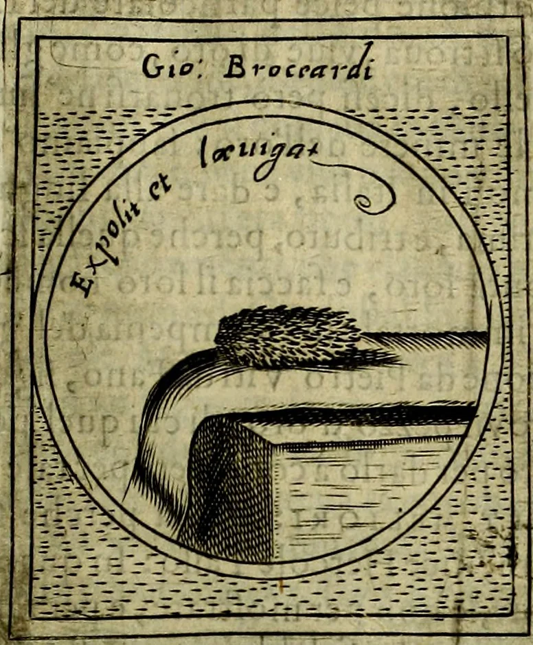 An illustration from Teatro d'imprese, 1623, leaf 364