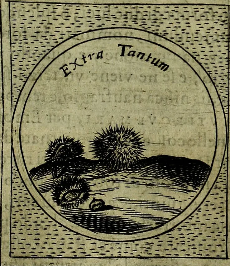 An illustration from Teatro d'imprese, 1623, leaf 374