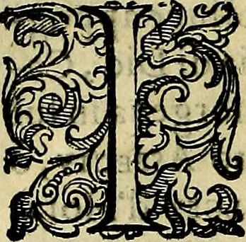 An illustration from Teatro d'imprese, 1623, leaf 377